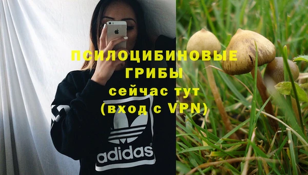 дживик Балабаново