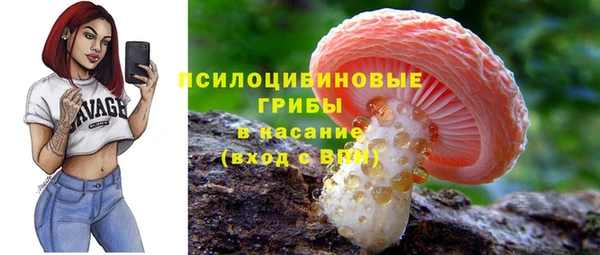 гидропоника Балахна