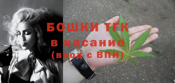 индика Пестово